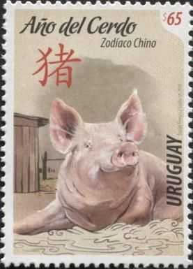 Year of the Pig 2019 (Sus scrofa domesticus)