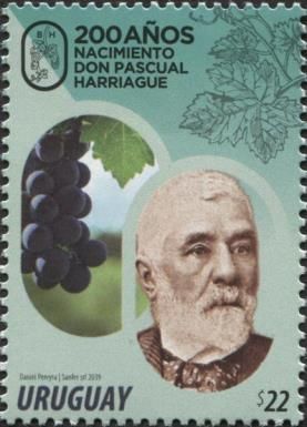 Don Pascual Harriague (1819-1894)