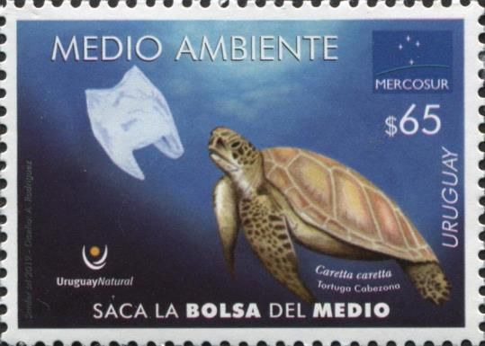 MERCOSUR 2019 : Environmental Protection
