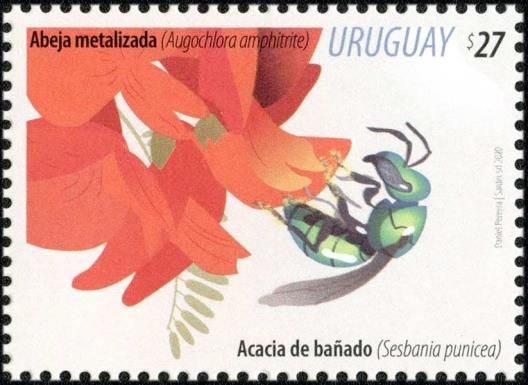 Flowers and Pollinators