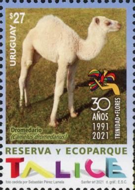 Talice Reserve and Ecopark, 30th Anniversary