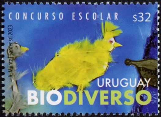 Student Design Contest : Biodiversity