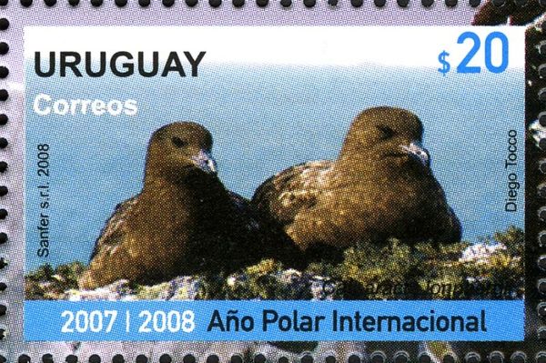 International Polar Year