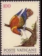 Purple-naped Lory (Lorius domicella)
