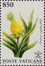 Ananas sagitae folio