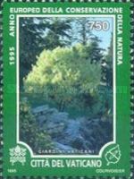 Acer Negundo variegatum