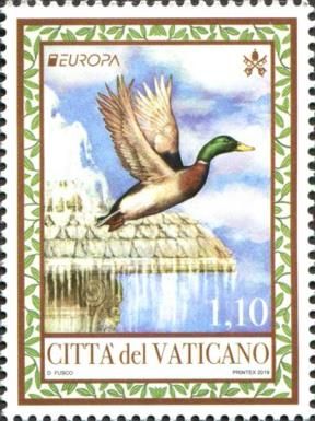 Mallard (Anas platyrhynchos)