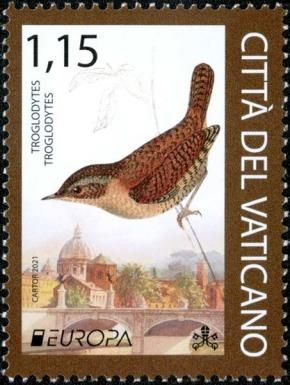 Eurasian Wren (Troglodytes troglodytes)