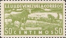 Cattle (Bos primigenius taurus), Horse with Rider