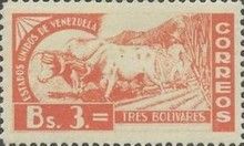 Cattle (Bos primigenius taurus), ploving