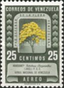 National Tree - Araguaney (Tabebuia chrysantha)