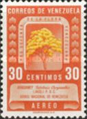 National Tree - Araguaney (Tabebuia chrysantha)