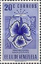 Amazonas 20