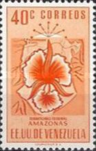 Amazonas 40