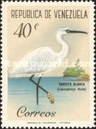 Snowy Egret (Leucophoyx thula)