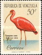 Scarlet Ibis (Eudocimus rubra)