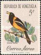 Venezuelan Troupial (Icterus icterus)