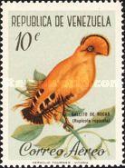 Guianan Cock-of-the-rock (Rupicola rupicola)