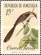 Tropical Mockingbird (Mimus gilvus)