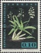 Caularthron bilamellatum