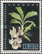 Catasetum pileatum