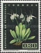Masdevallia tovarensis