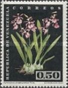 Epidendrum atropurpureum