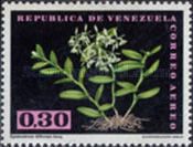 Epidendrum difforme