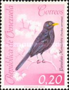 Glossy-black Thrush (Turdus serranus)