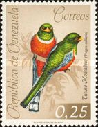 Collared Trogon (Trogon collaris)