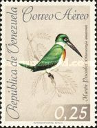 Amazon Kingfisher (Chloroceryle amazona)