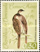 Rufous-vented Chachalaca (Ortalis ruficauda)