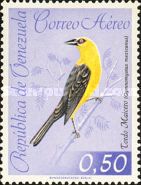 Oriole Blackbird (Gymnomystax mexicanus)