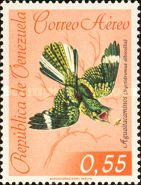 Common Pauraque (Nyctidromus albicollis)