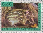 Lowland Paca (Cuniculus paca)