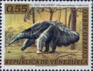Giant Anteater (Myrmecophaga tridactyla)
