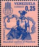 Fisherman