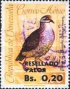 Lined Quail-dove (Geotrygon linearis) - surcharged
