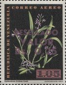 Epidendrum lividum - surcharged