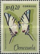 Swallowtail Butterfly (Papilio protesilaus leucones)