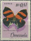 Scarlet Leafwing (Siderone marthesia ssp. thebais)