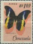 Yellow-edged Giant Owl (Caligo atreus)