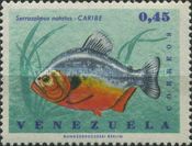 Blackspot Piranha (Serrasalmus notatus)