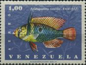Ram (Apistogramma ramirezi)