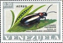 Flea Beetle (Systena sp.)