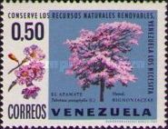 Apamate (Tabebuia pentaphylla)