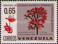 Bucare Ceibo (Erythrina poeppigiana)