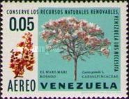 Mari-Mari Rosado (Cassia grandis)