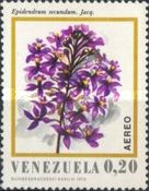 Epidendrum secundum