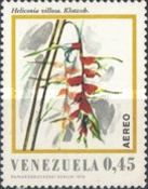 Heliconia vilosa